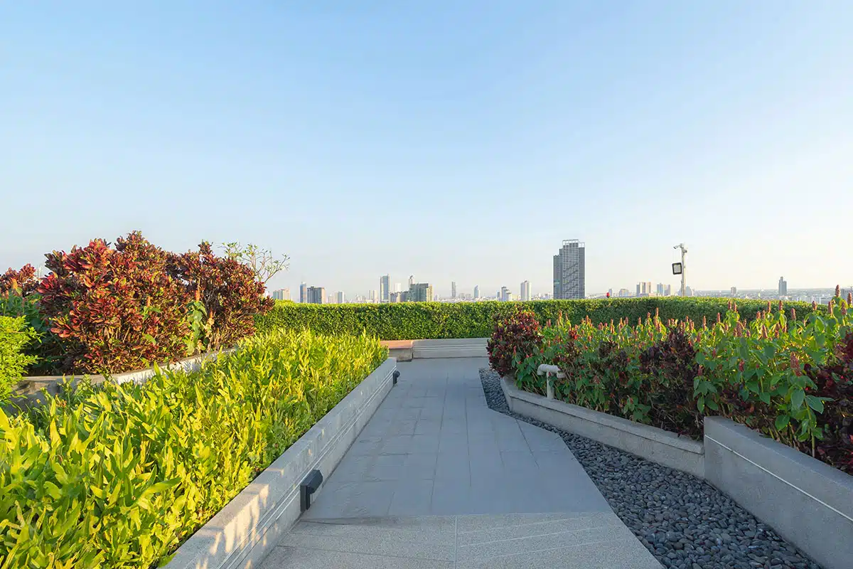 A rooftop garden with sidewalks and hedgerows